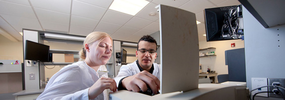 Researchers at the Department of Food Science